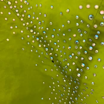 Mağazadan Alınan Üründe Yaşanan Sorun ve Destek Talepleri