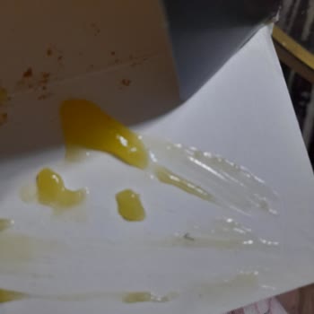 Cheesecake'in İçinden Kıl Çıktı, Hayal Kırıklığına Uğradık