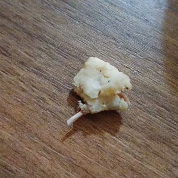 Lezita Piliç Fileto Ürününde Kemik Parçası Çıkması!