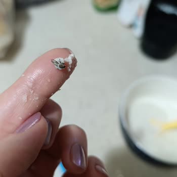 Hipp Organik Ek Gıdada Sinek Çıkması Ve Güven Sorunu