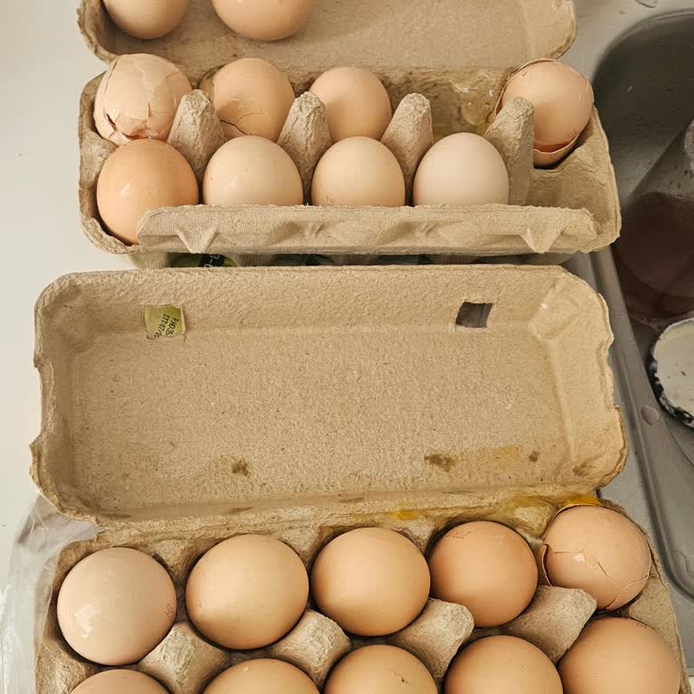 Migros Sanal Marketten Aldığım Yumurtalar Kırık Geldi, İade Süreci Uzadı Ve Mağdur Oldum