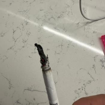 Marlboro Edge Sigaralarda Kalite Düşüklüğü Ve Odunsu Parçalar Sorunu