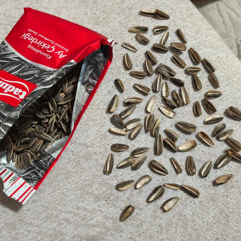 Tadım Ay Çekirdeğinde Fazla Sayıda Boş Çekirdek Sorunu