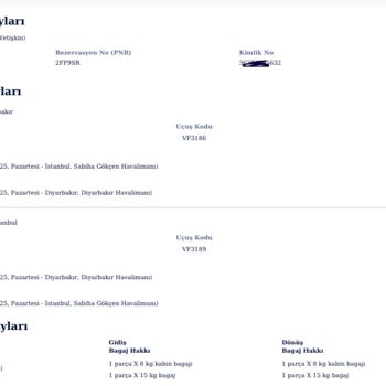 Ajet Hava Yolları'nda Kapı Bilgilendirme Hatası Ve Bagaj Mağduriyeti