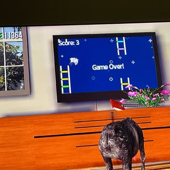 Goat Simülatör Goat Simülatör Flappy Goat Görevinde Haksız Game Over Sorunu