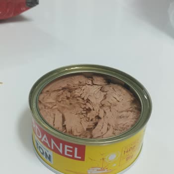 Dardanel Ton Balığında İlk Defa Karşılaştığım Rahatsız Edici Durum