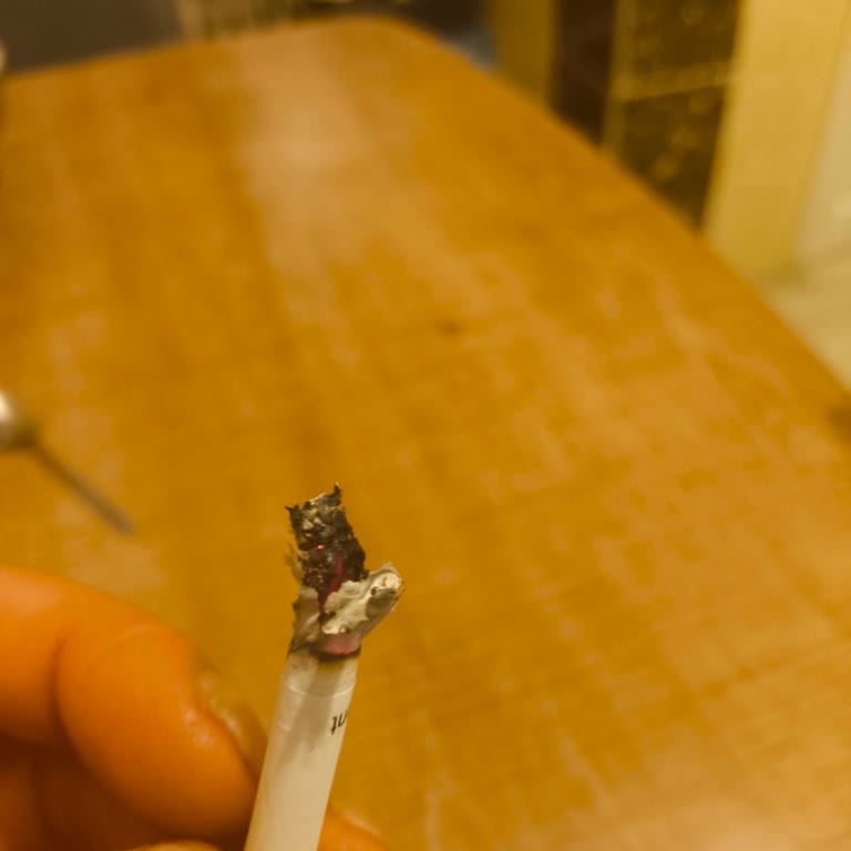 Sigara Paketlerinde Odun Benzeri Tütün Sorunu