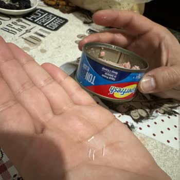 Superfresh Ton Balığında Kılçık Ve Yağ Sorunu: Güven Sarsıcı Deneyim