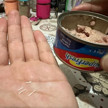 Superfresh Ton Balığında Kılçık Ve Yağ Sorunu: Güven Sarsıcı Deneyim