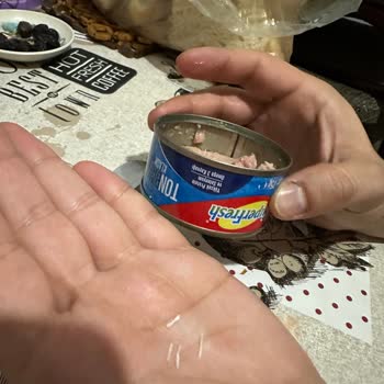 Superfresh Ton Balığında Kılçık Ve Yağ Sorunu: Güven Sarsıcı Deneyim