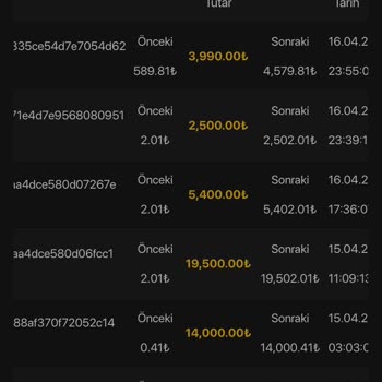 Uzun Süreli Oyun Deneyiminde Büyük Maddi Kayıplar Ve Şeffaflık Talebi