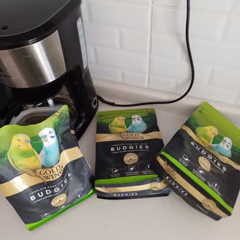 Bozuk Ve Topaklanmış Yem Nedeniyle Muhabbet Kuşlarımın Sağlığı Tehlikede