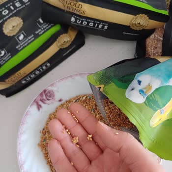 Bozuk Ve Topaklanmış Yem Nedeniyle Muhabbet Kuşlarımın Sağlığı Tehlikede