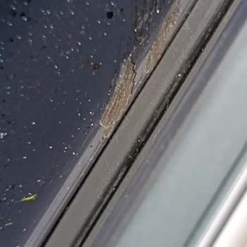 Vestel Fırında Boya Atması Ve Müşteri Hizmetleri Sorunu