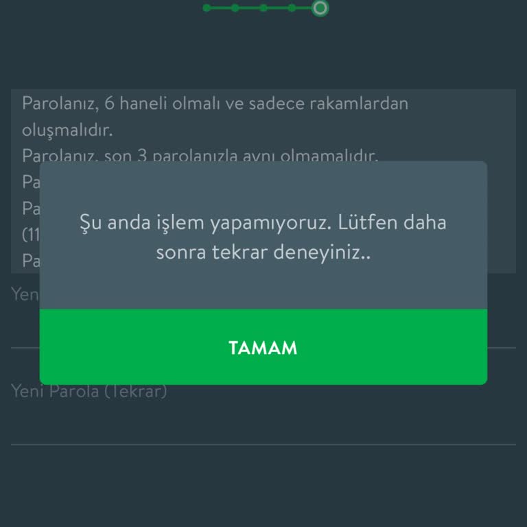 Kredi Sonrası Mobil Bankacılığa Erişim Sorunu Ve Müşteri Hizmetlerine Ulaşamama