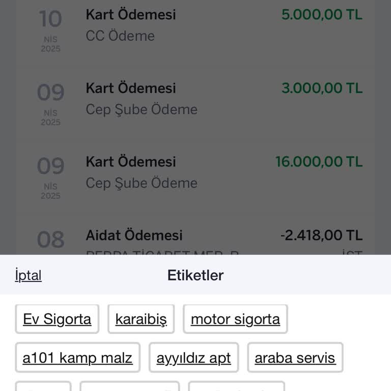 Kredi Kartı Harcama Etiketlerinde Silme Ve Değiştirme Sorunu, Yetersiz Müşteri Hizmeti