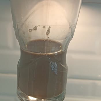 Kido Sütünden Böcek Çıktı: Çocuğumun Sağlığı Tehlikeye Girdi!