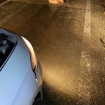 Hasar Kaydım Yanlış Girildi, Mağduriyet Yaşıyorum