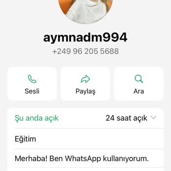 Bilinmeyen Yabancı Numara Tarafından WhatsApp Üzerinden Rahatsız Edilme Ve Güvenlik Endişesi