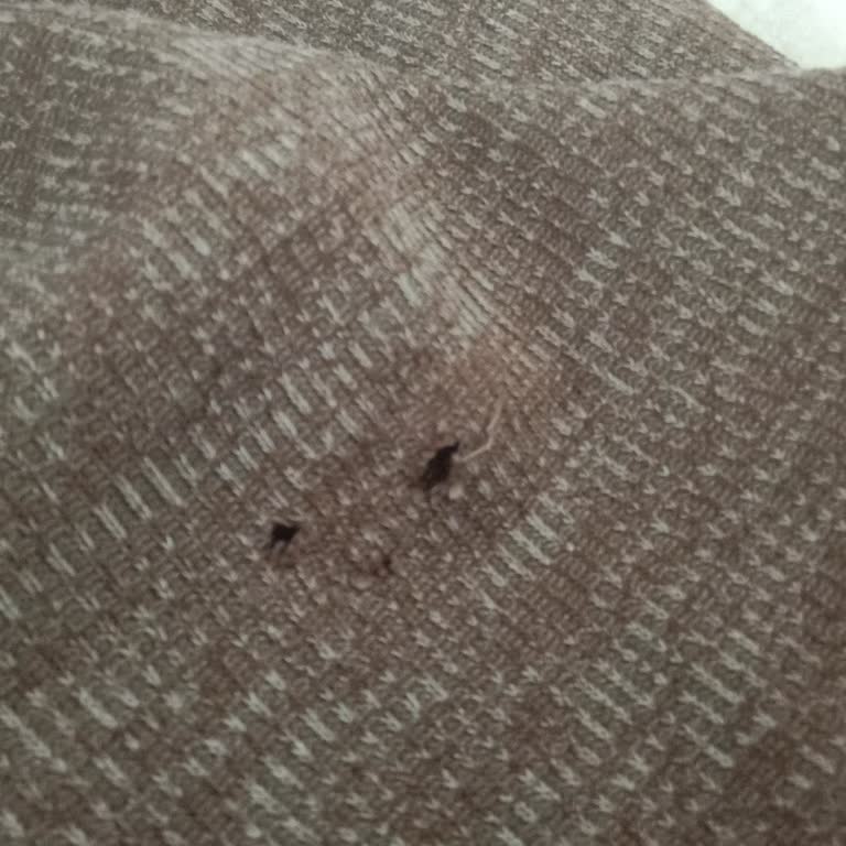 Kübraca Butik'ten Yırtık Elbise Ve İletişim Sorunu