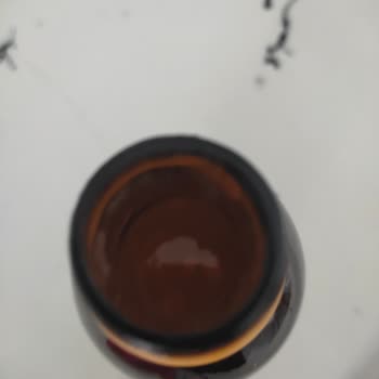 Argivit Focus Ürününde Katı Parçacıklar Endişesi
