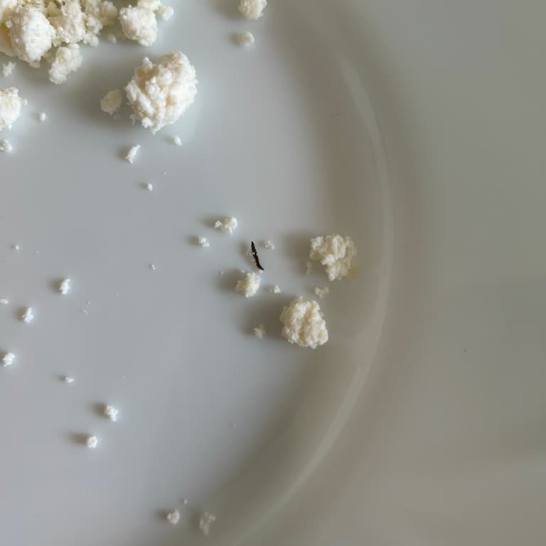 Satın Alınan Lor Peynirinden Kurt Çıkması Ve Marka Güveninin Sarsılması