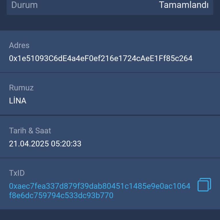 Kripto Para Transferinde Gecikme ve Destek Sorunu