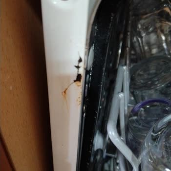 Bulaşık Makinesi Kapağında Küf Oluşumu Ve Hijyen Sorunu