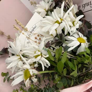 Siparişim Beklentilerimi Karşılamadı Ve İade Talebim Var