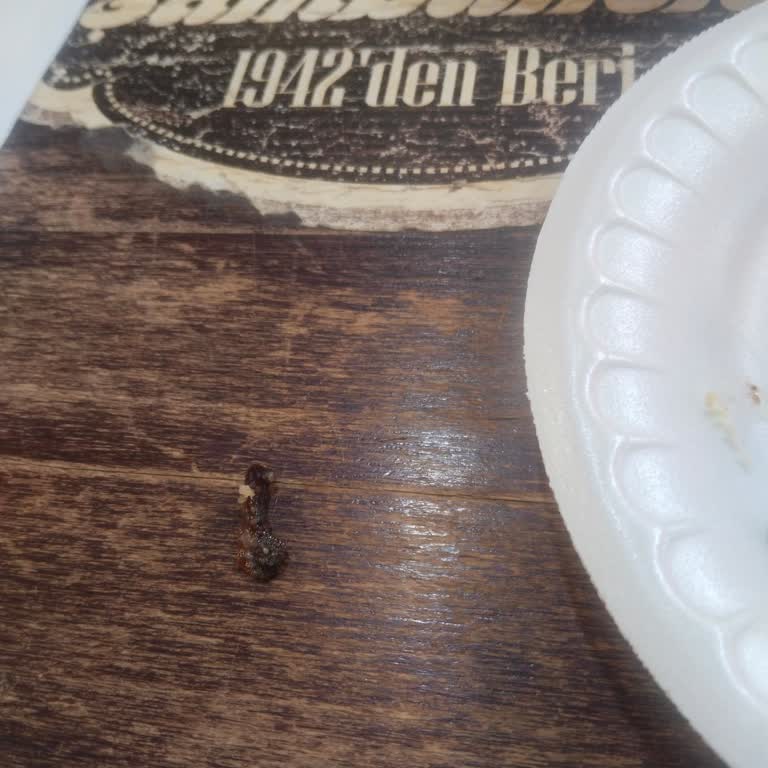 Beklentilerin Altında Kalan Lezzet Ve Güven Sorunu