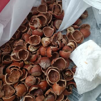 BİM’den Aldığım Fındık Çürük Çıktı, İade Edemiyorum!