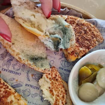 Pendik Marina Çeşme Kahve'de Küflü Bagel Şoku: Sağlığım Tehlikeye Girdi
