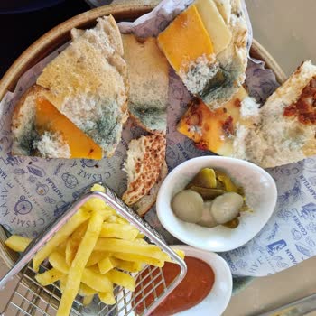 Pendik Marina Çeşme Kahve'de Küflü Bagel Şoku: Sağlığım Tehlikeye Girdi