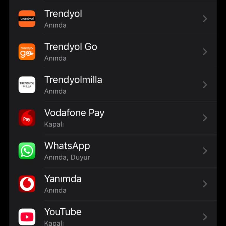 Deprem Bildirimlerinin Gelmemesi Ciddi Güvenlik Sorunu