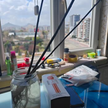 Yanlış Fidan Gönderimi Ve Müşteri İletişiminde Sorun