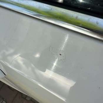 Türkiye Sigorta Mini Onarım Kapsamında Boya Hasarımın İşleme Alınmaması