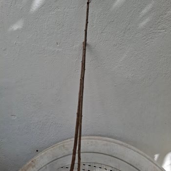 Yanlış Ürün Ve Faturasız Gönderim: İade Ve Haklarımızı Talep Ediyoruz