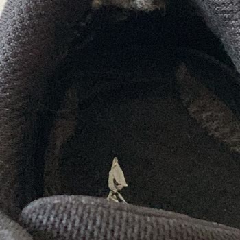 Kısa Sürede Yırtılan Ayakkabıya Çözüm Bulunmadı