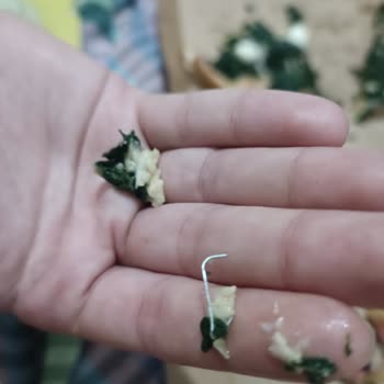 Siparişimde Zımba Çıktı, Sağlığım Tehlikeye Girdi