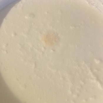 A101'den Aldığım Yoğurt Bozuk Çıktı, Destek Alamadım