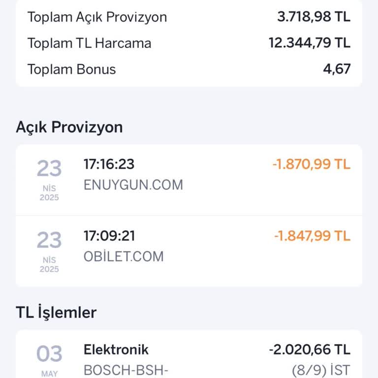 Bilet Aldım, Ücret Kesildi Ama Bilet Ve İade Yok!