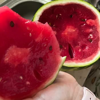 Dondurulup Çözdürülmüş Karpuz Satışı Hayal Kırıklığı Yarattı