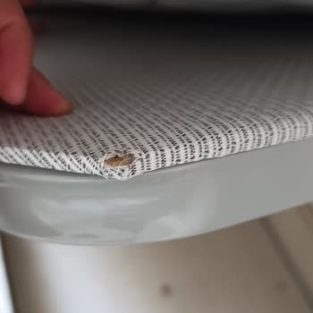 Yanlış Ve Hasarlı Yatak Teslimatı, Mağaza İlgisizliği