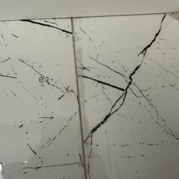 Livanur Temizlik | Samsun