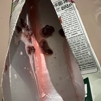 Meyve Suyunda Karşılaştığım Yabancı Parçalar Endişe Verici