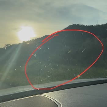 Borusan Serviste Değişen Ön Camda Kılcal Çizik Sorunu Ve Mağduriyet