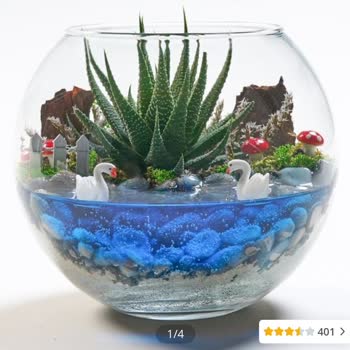 Sipariş Edilen Teraryum Görselden Farklı Ve Çözüm Sunulmadı, Mağdur Edildim