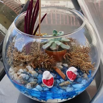 Sipariş Edilen Teraryum Görselden Farklı Ve Çözüm Sunulmadı, Mağdur Edildim