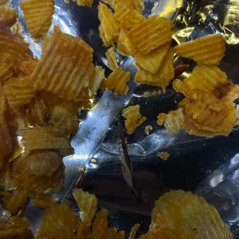 Ruffles Cips Paketinde Böcek Çıkması Nedeniyle Sağlık Endişesi Yaşadım