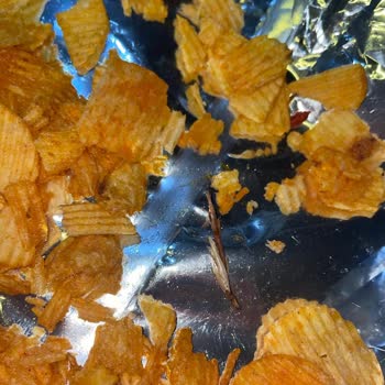 Ruffles Cips Paketinde Böcek Çıkması Nedeniyle Sağlık Endişesi Yaşadım